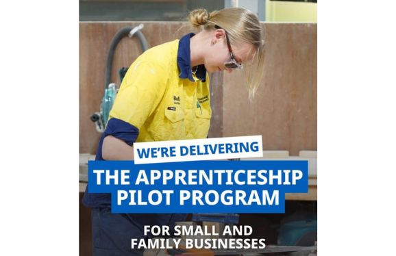 The Small Business Apprenticeship Pilot Program